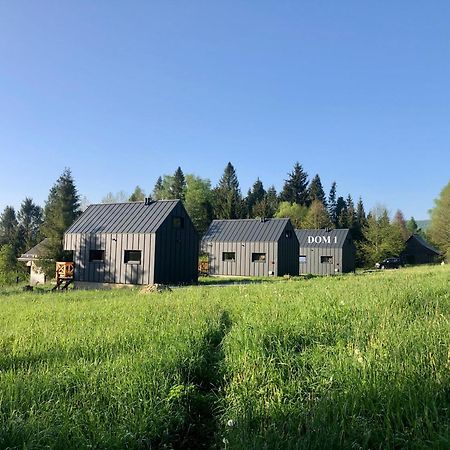 Bieszczadzka Laka Villa Kalnica  Dış mekan fotoğraf